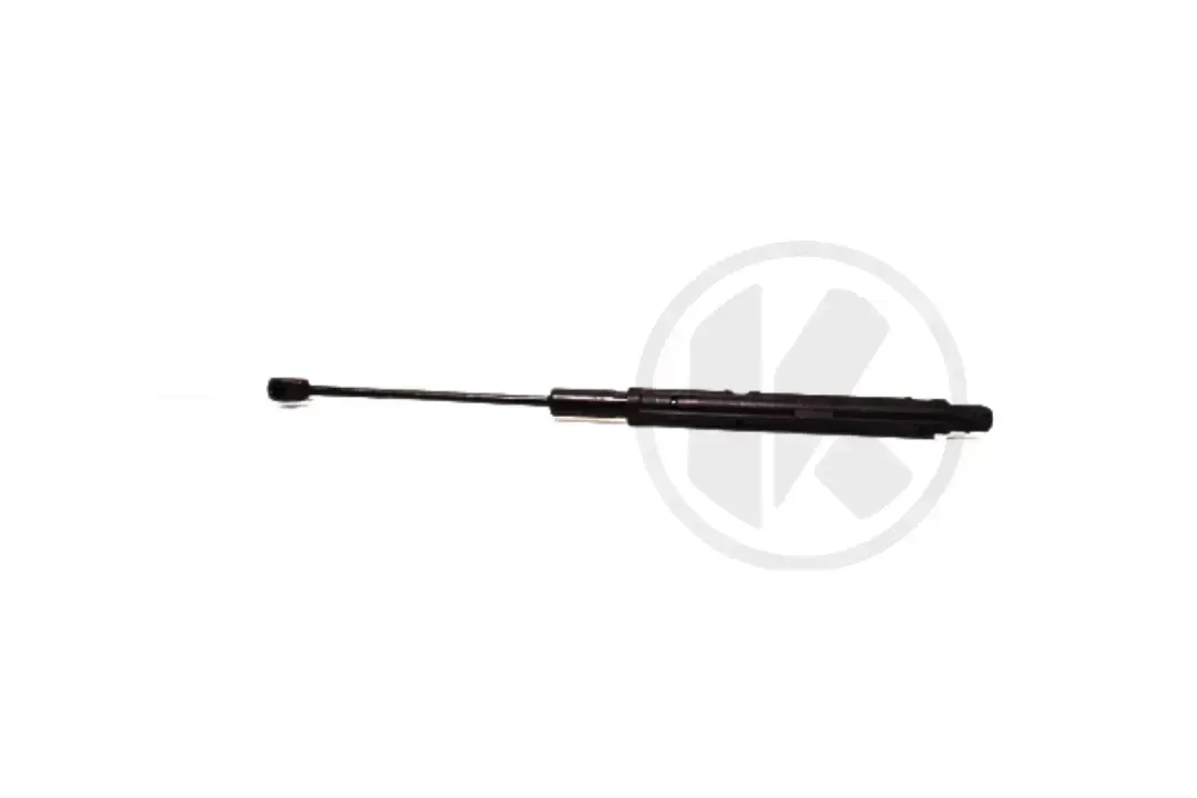 PNEUMATIC SPRING